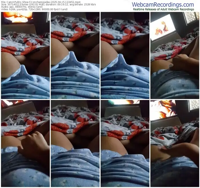 2025/04/15/cam4-conchamojadax-12-24-51
