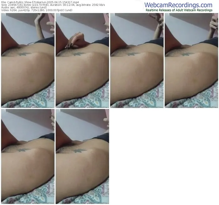 2025/04/15/cam4-tinkerlun-15-43-17