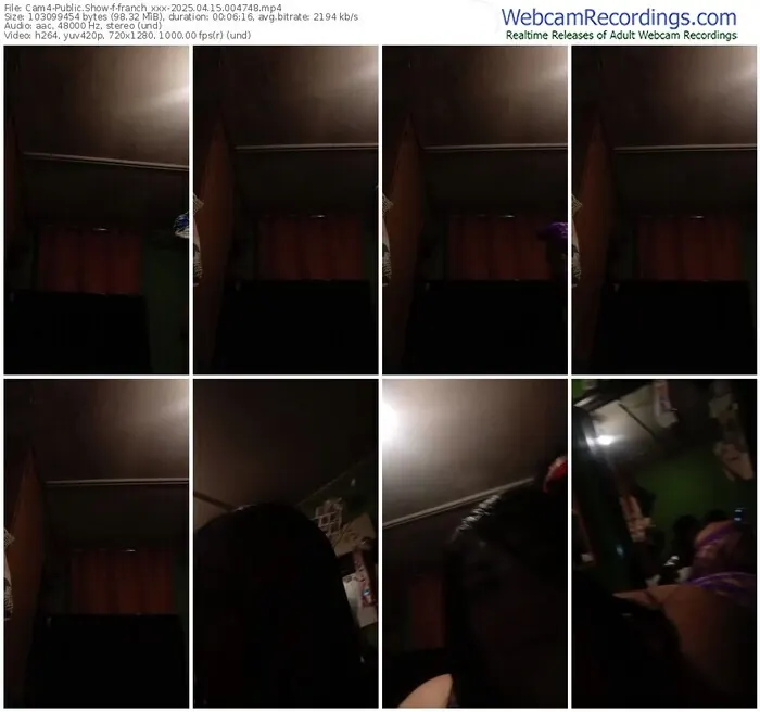 2025/04/15/cam4-franch_xxx-00-47-48