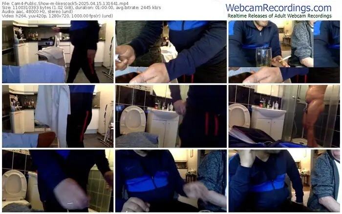 2025/04/15/cam4-likescock5-13-16-41