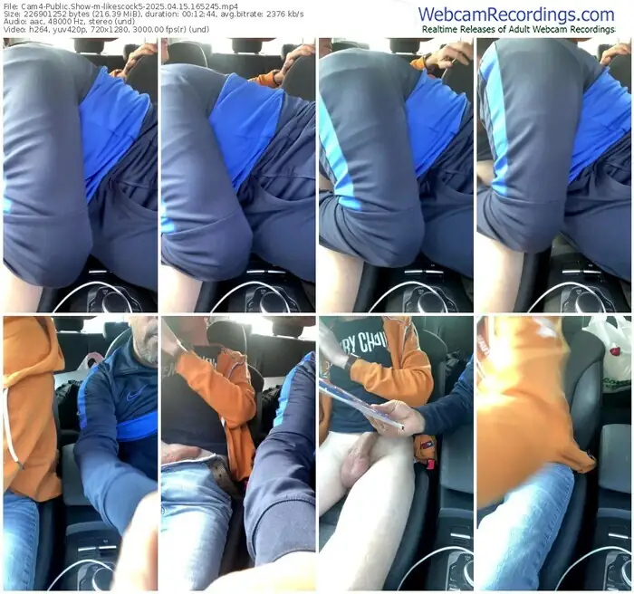 2025/04/15/cam4-likescock5-16-52-45