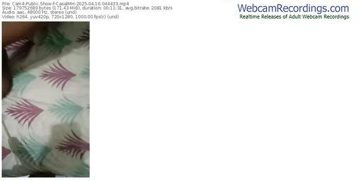 2025/04/16/cam4-casalmh-04-44-33