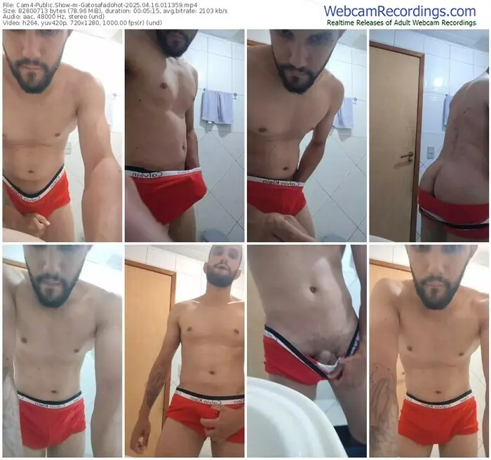 2025/04/16/cam4-gatosafadohot-01-13-59