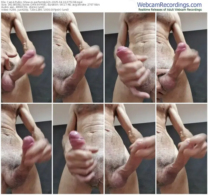 2025/04/16/cam4-perfectdick21-07-51-38