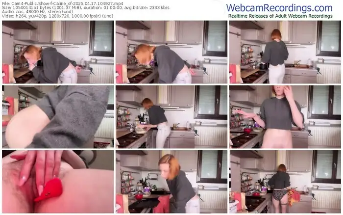 2025/04/17/cam4-caliiie_of-10-49-27