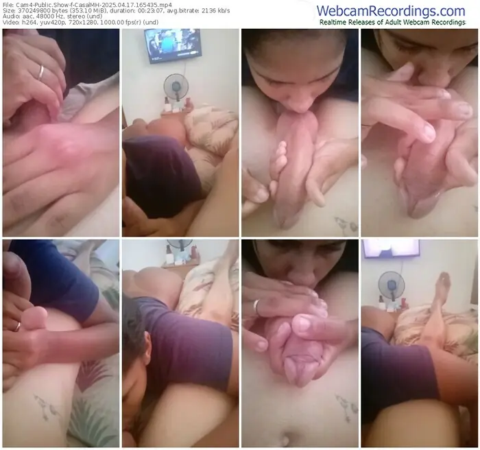 2025/04/17/cam4-casalmh-16-54-35