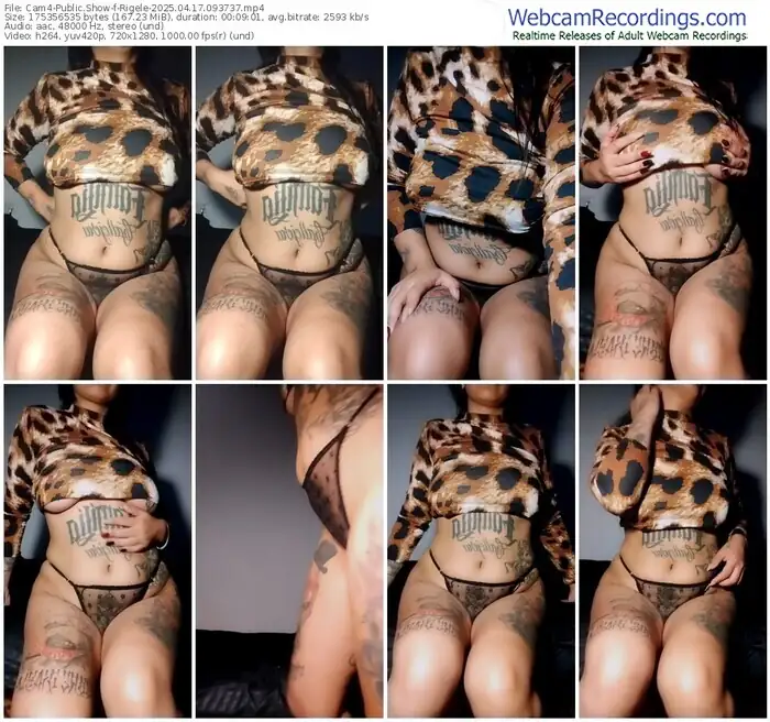 2025/04/17/cam4-rigele-09-37-37