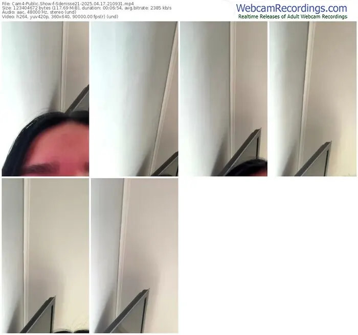 2025/04/17/cam4-sdenisse21-21-09-31