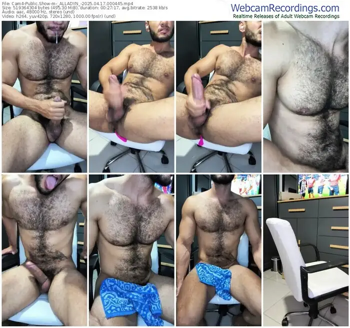 2025/04/17/cam4-_alladyn_-00-04-45