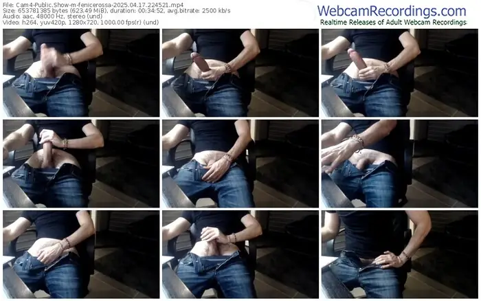 2025/04/17/cam4-fenicerossa-22-45-21