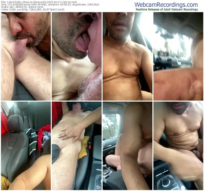 2025/04/17/cam4-likescock5-13-01-14