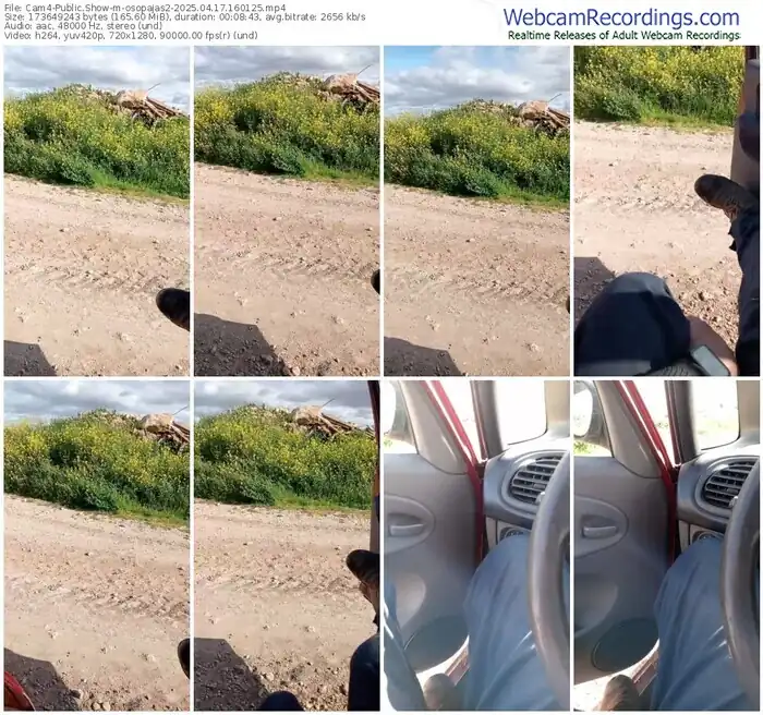2025/04/17/cam4-osopajas2-16-01-25