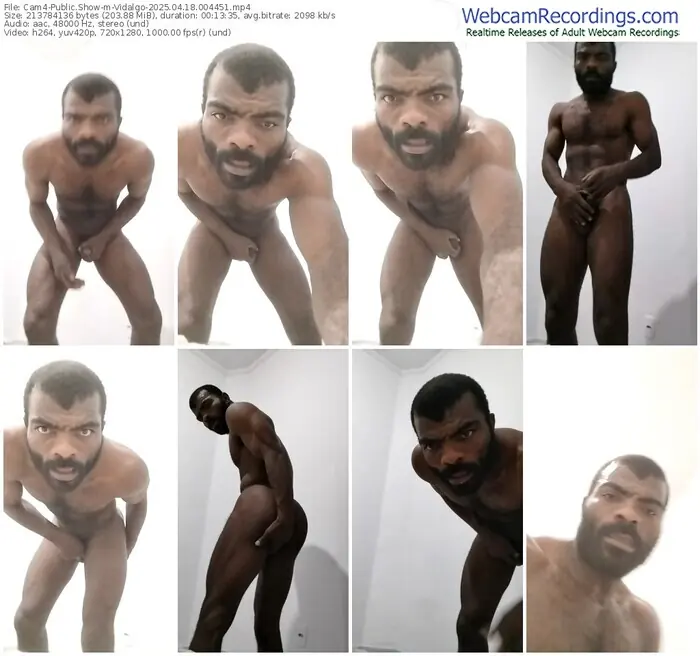2025/04/18/cam4-vidalgo-00-44-51