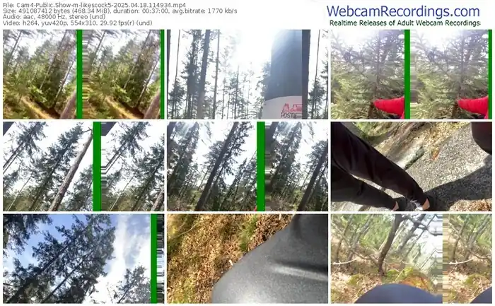 2025/04/18/cam4-likescock5-11-49-34