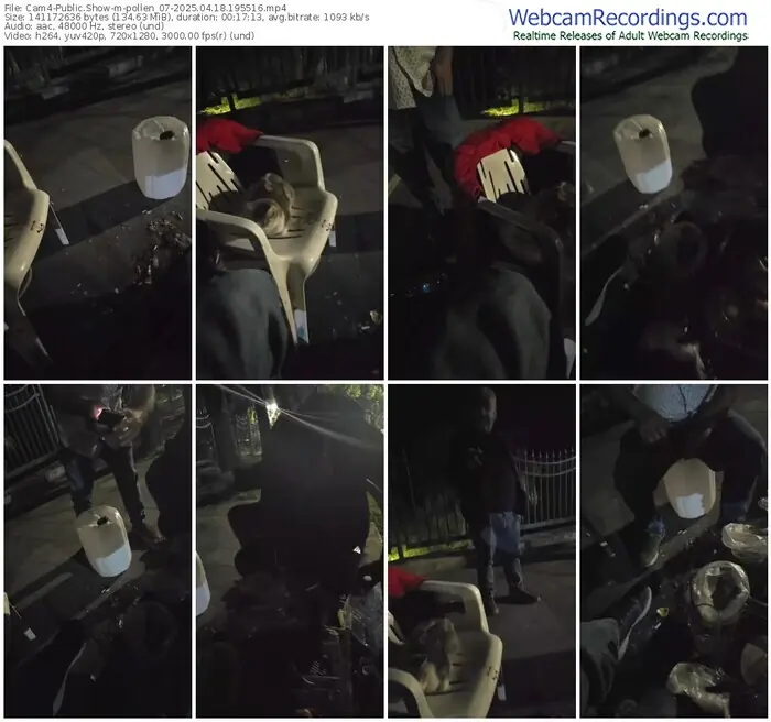2025/04/18/cam4-pollen_07-19-55-16