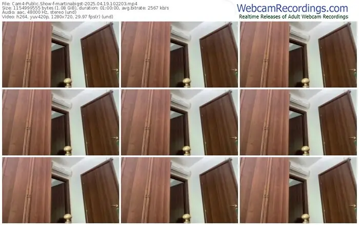 2025/04/19/cam4-martinabigst-10-22-03