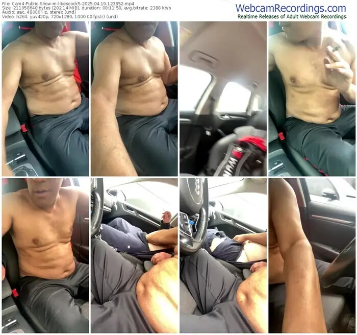 2025/04/19/cam4-likescock5-12-38-52