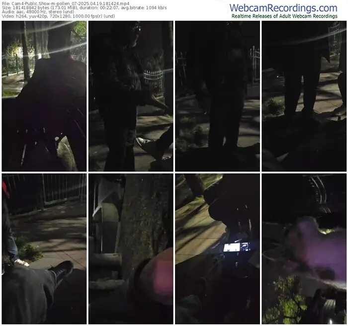 2025/04/19/cam4-pollen_07-18-14-24