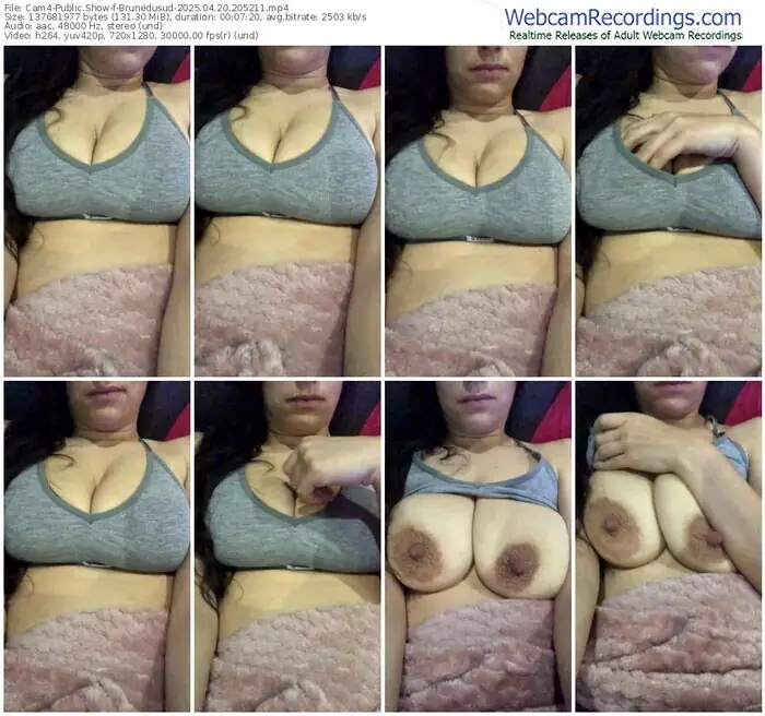 2025/04/20/cam4-brunedusud-20-52-11