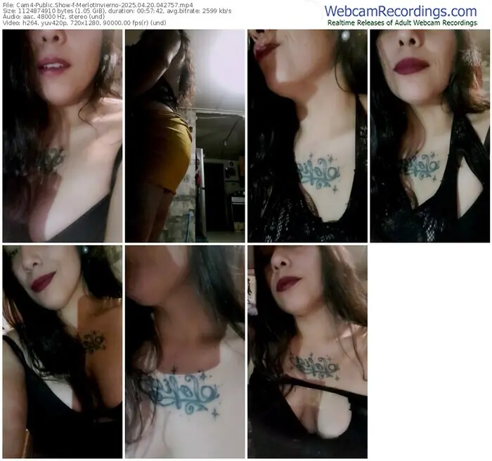 2025/04/20/cam4-merlotinvierno-04-27-57