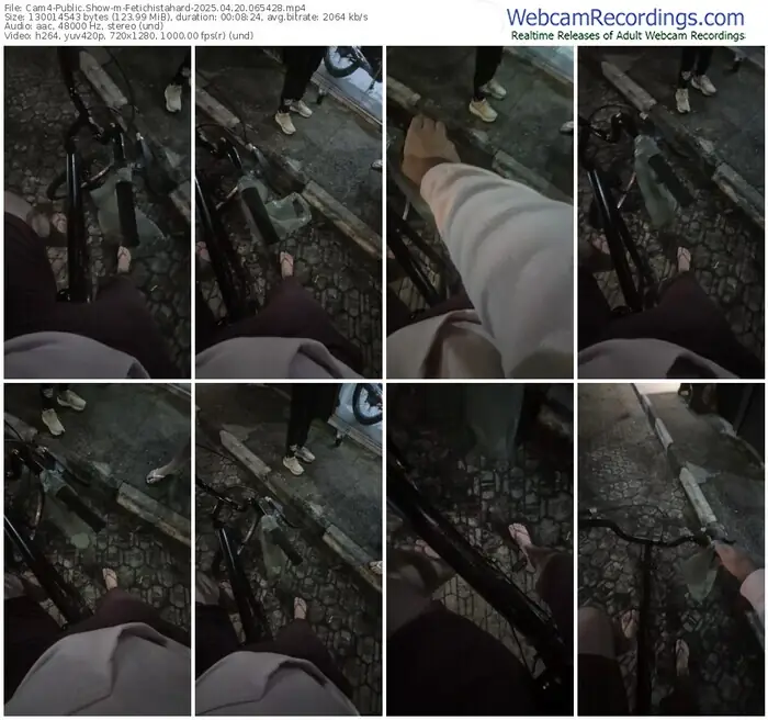 2025/04/20/cam4-fetichistahard-06-54-28