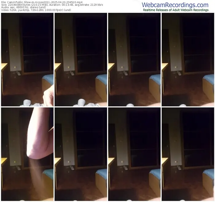 2025/04/20/cam4-nicooo2011-23-45-10