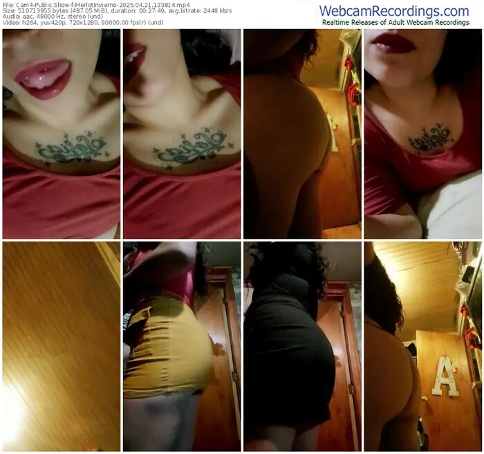 2025/04/21/cam4-merlotinvierno-13-38-14