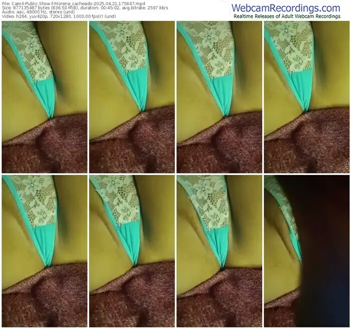2025/04/21/cam4-morena_cacheado-17-56-47