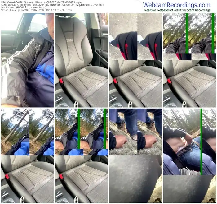 2025/04/21/cam4-likescock5-09-36-19