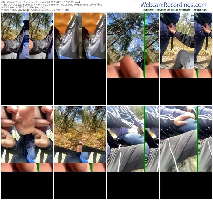 2025/04/21/cam4-likescock5-10-36-39