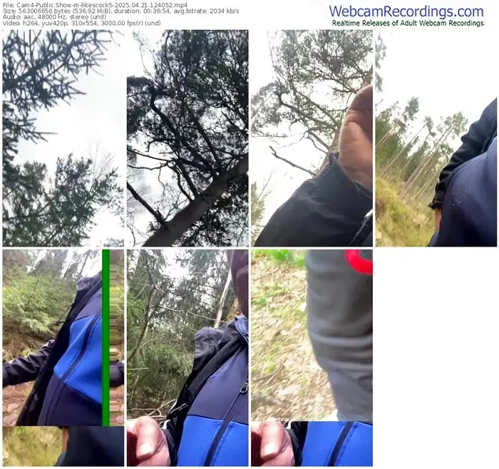 2025/04/21/cam4-likescock5-12-40-52