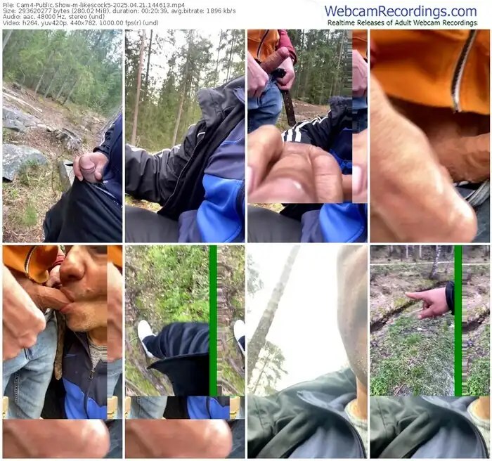 2025/04/21/cam4-likescock5-14-46-13