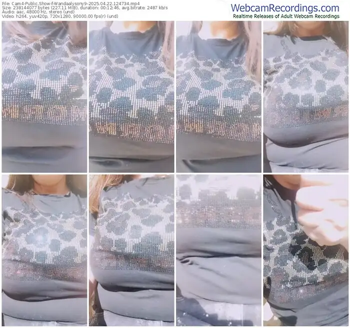 2025/04/22/cam4-wandaalysony9-12-47-34