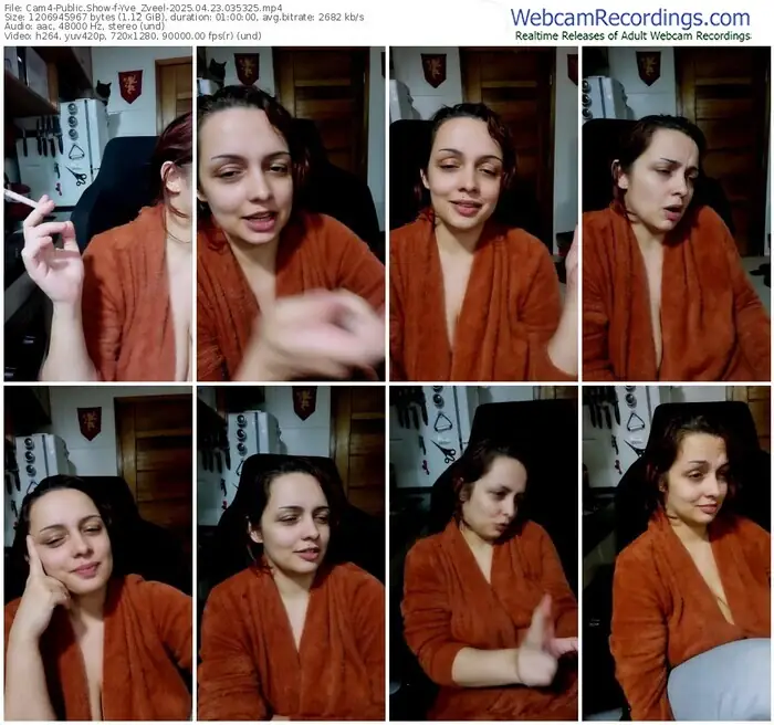 2025/04/23/cam4-yve_zveel-03-53-25