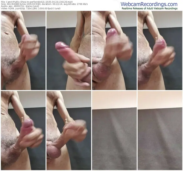 2025/04/23/cam4-perfectdick21-13-01-26