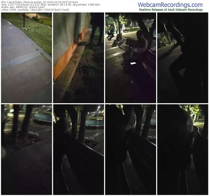 2025/04/23/cam4-pollen_07-20-37-23