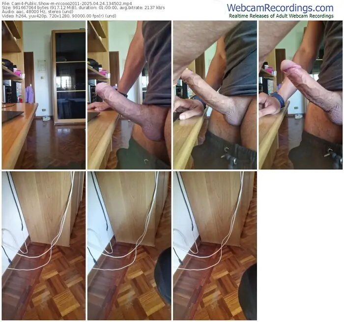 2025/04/24/cam4-nicooo2011-13-45-02