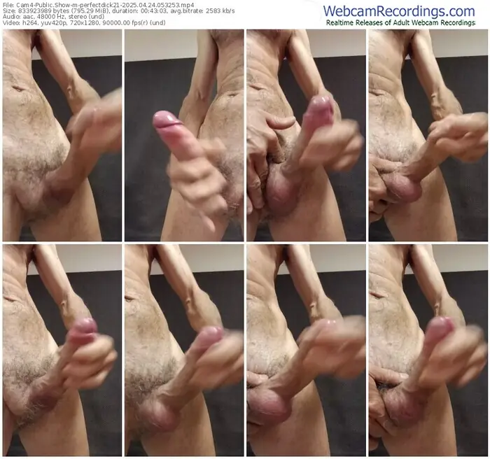2025/04/24/cam4-perfectdick21-05-32-53