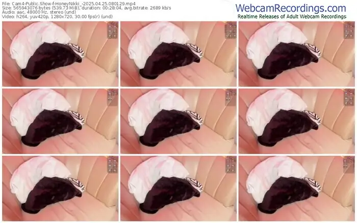 2025/04/25/cam4-honeynikki_-08-01-29