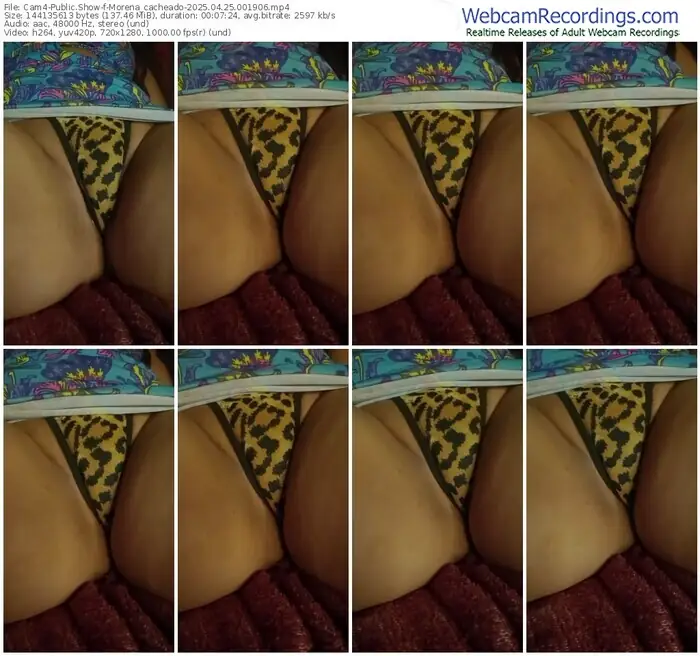 2025/04/25/cam4-morena_cacheado-00-19-06