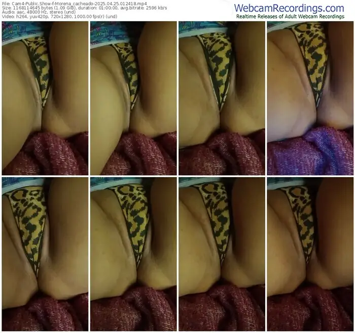 2025/04/25/cam4-morena_cacheado-01-24-18
