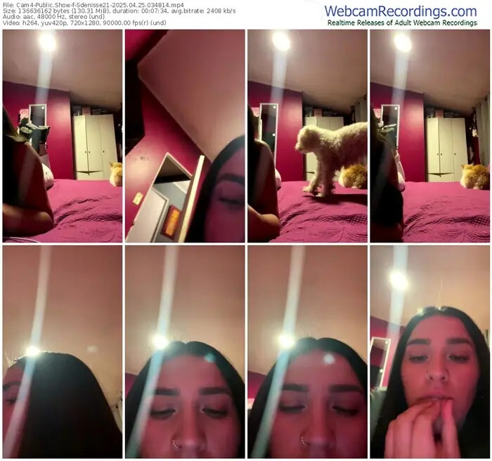 2025/04/25/cam4-sdenisse21-03-48-14