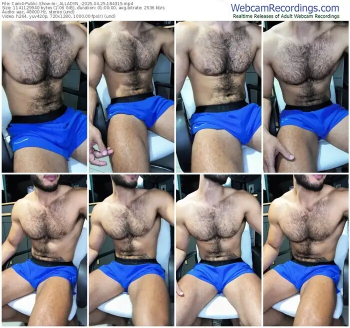 2025/04/25/cam4-_alladyn_-18-43-15