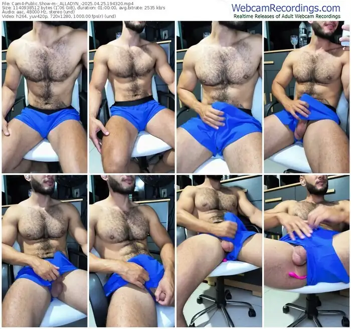 2025/04/25/cam4-_alladyn_-19-43-20