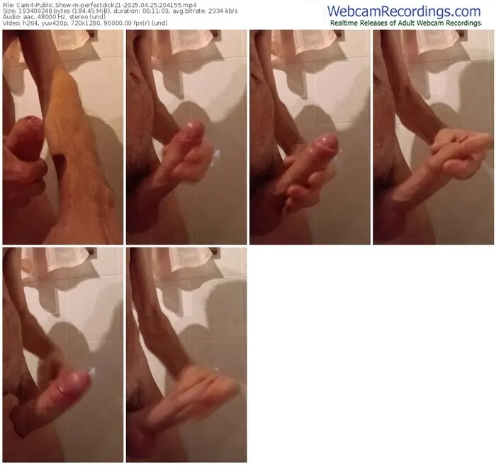 2025/04/25/cam4-perfectdick21-20-41-55