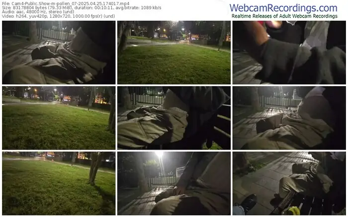 2025/04/25/cam4-pollen_07-17-40-17