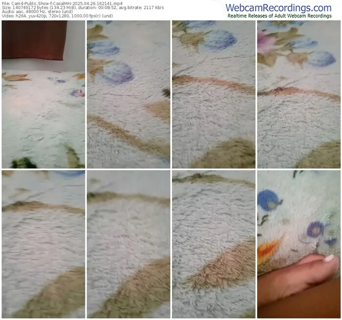 2025/04/26/cam4-casalmh-16-21-41