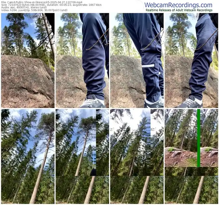 2025/04/27/cam4-likescock5-12-27-09