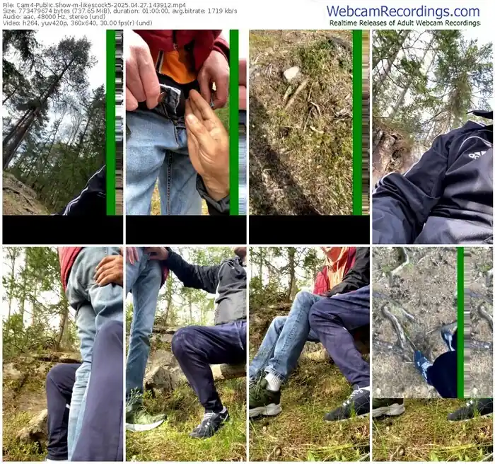 2025/04/27/cam4-likescock5-14-39-12