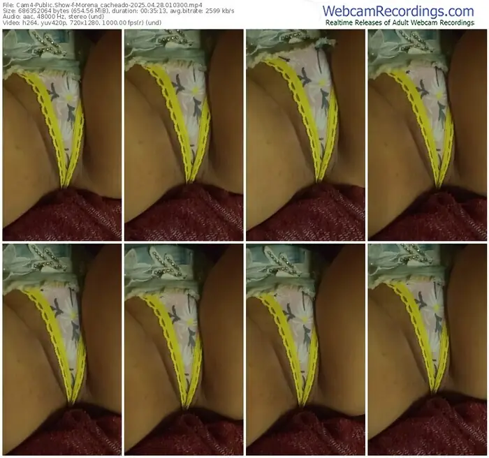 2025/04/28/cam4-morena_cacheado-01-03-00